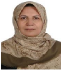 Zahra Mozaheb - The Clinical Oncologist Journal